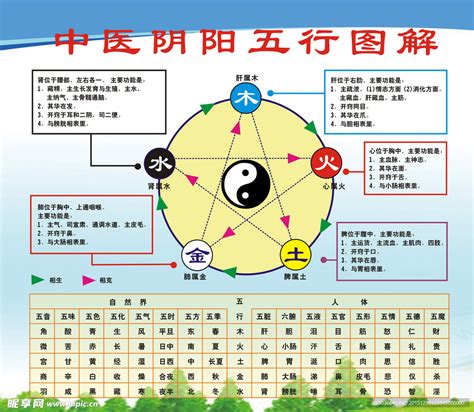 数字对应五行|五行的阴阳属性对应表